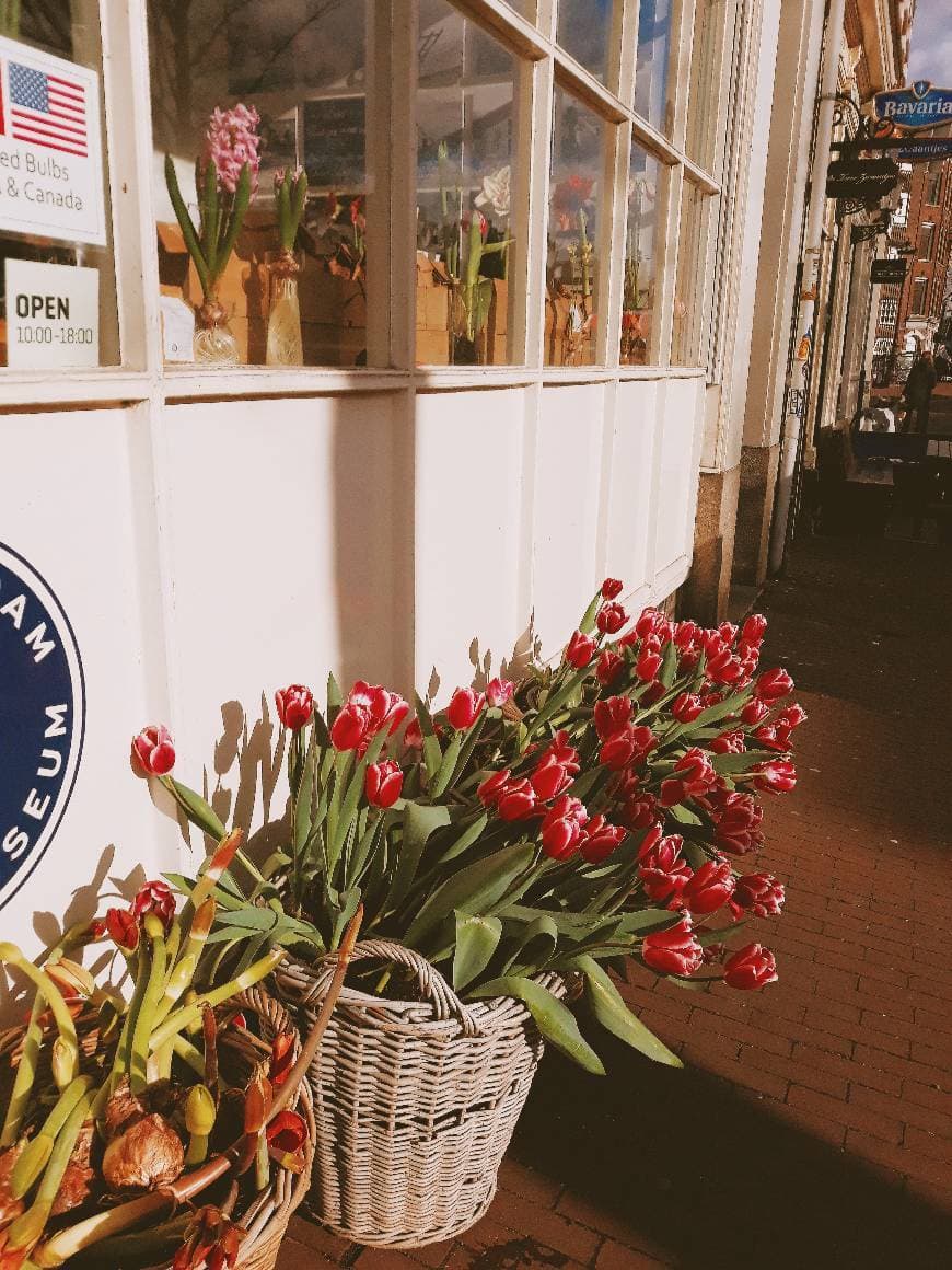 Lugar Bloemenmarkt