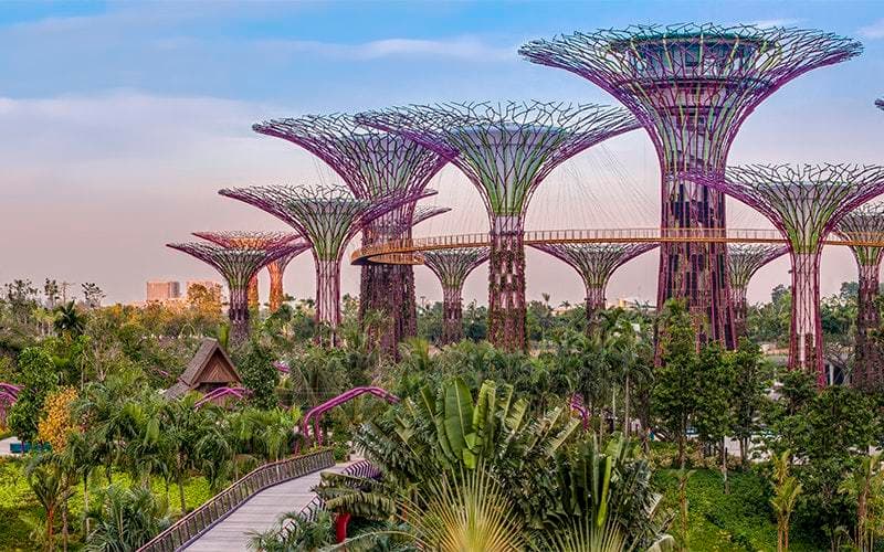 Place Gardens by the Bay