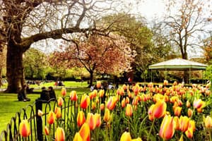 Place St. Stephen's Green