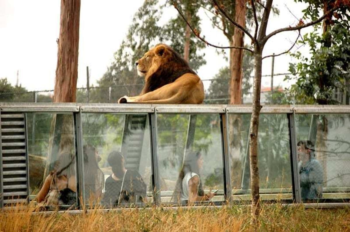 Place Zoo Santo Inácio