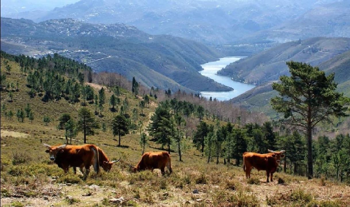 Place Peneda-Gerês National Park