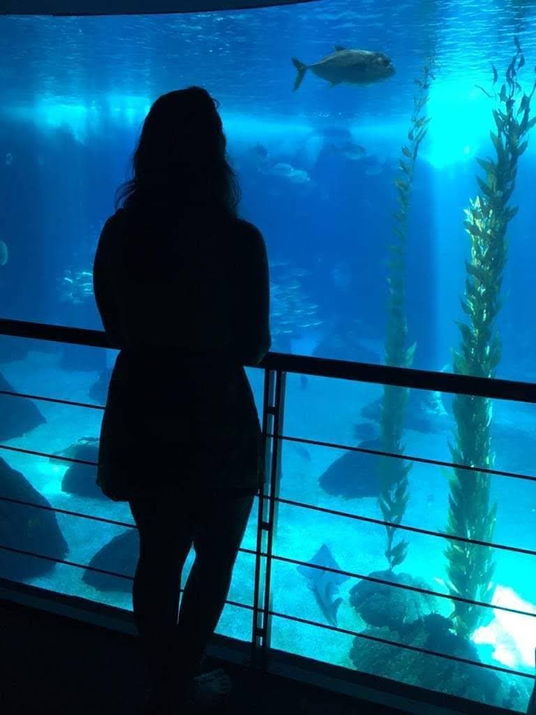 Place Oceanario de Lisboa