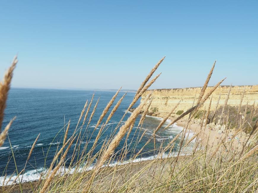 Place Praia da Foz