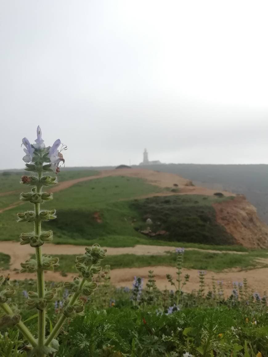 Place Farol do Cabo Espichel