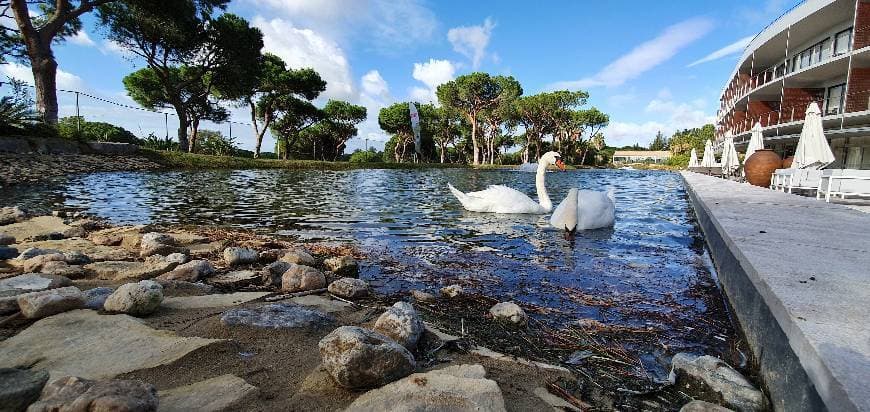 Lugar Pestana Vila Sol Vilamoura