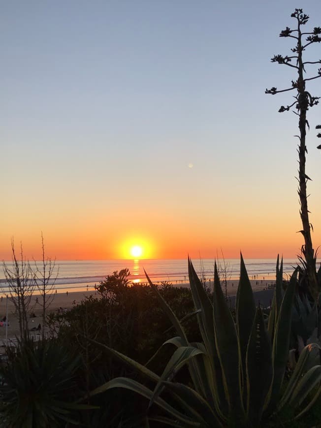 Lugar Praia de Carcavelos