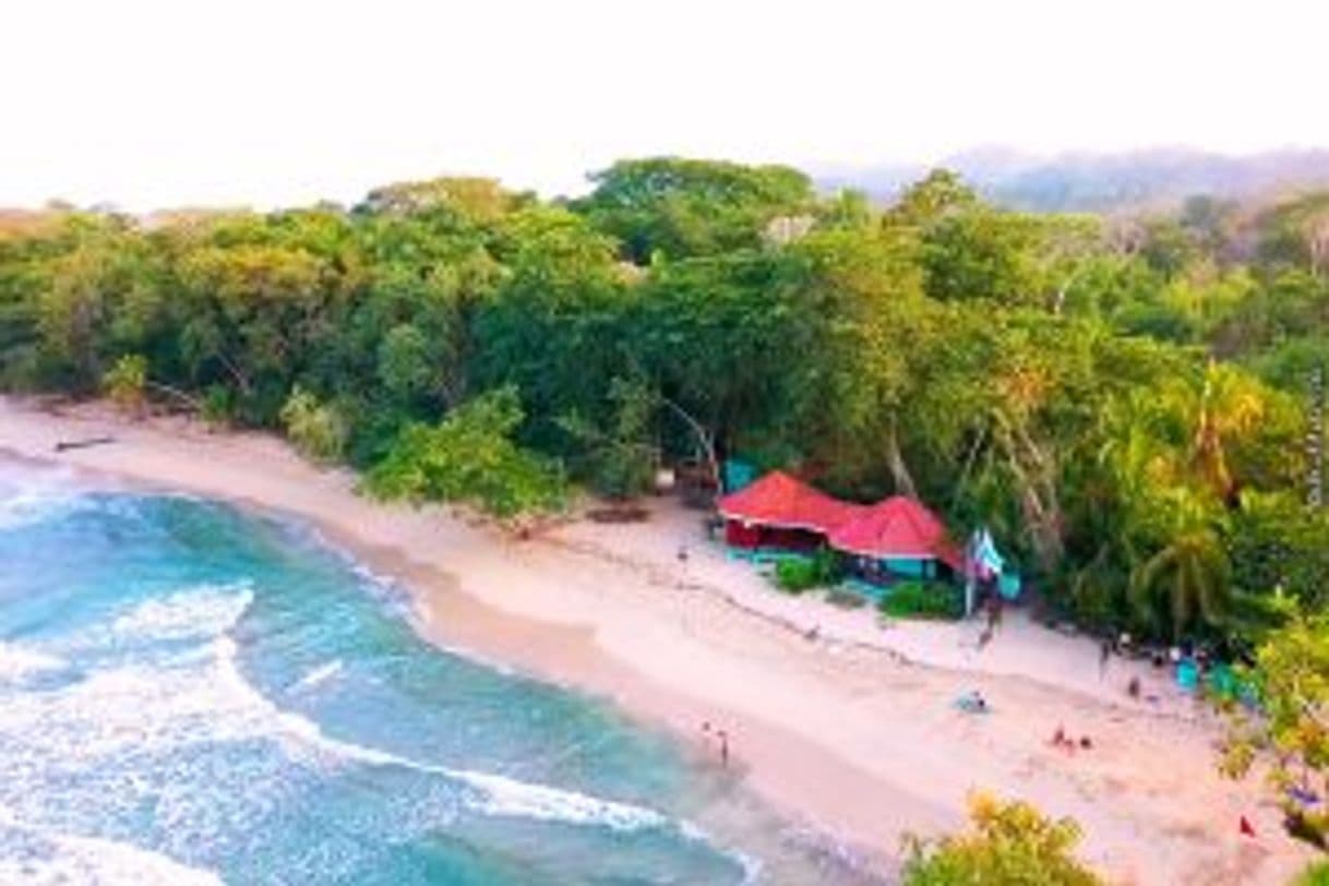 Place Parque nacional Cahuita