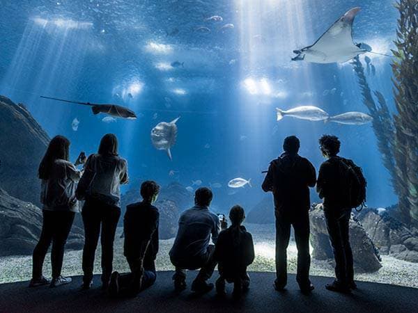 Lugar Oceanário de Lisboa