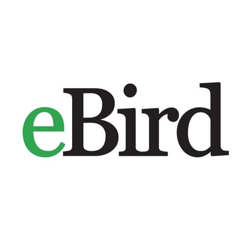 App eBird