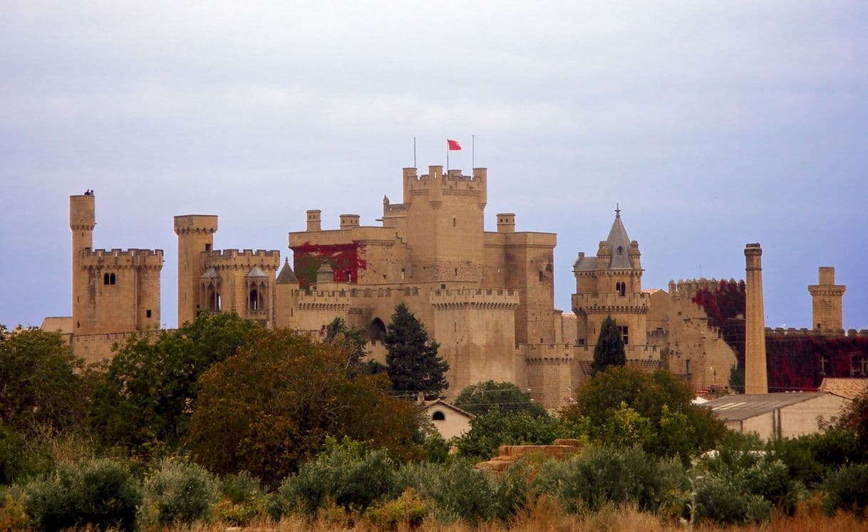 Place Palacio Real de Olite