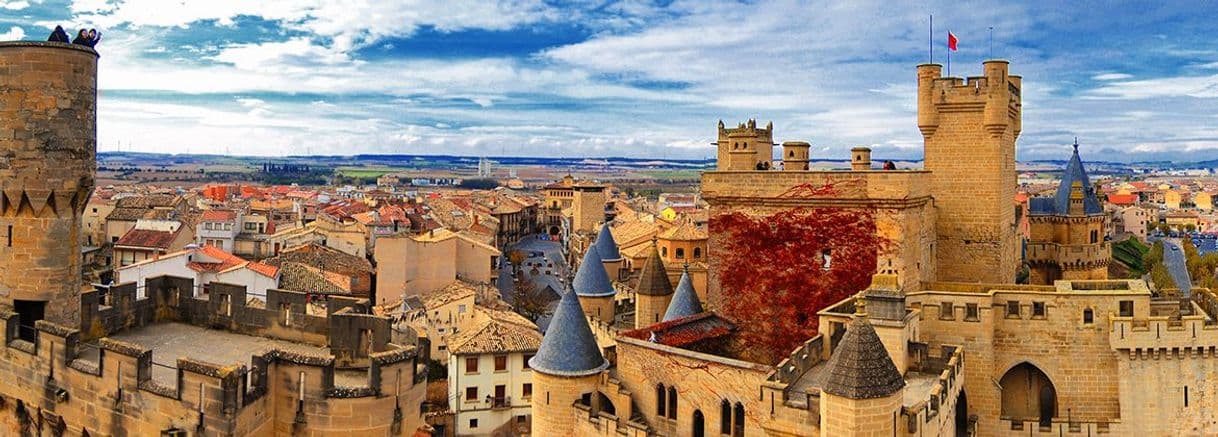 Place Olite