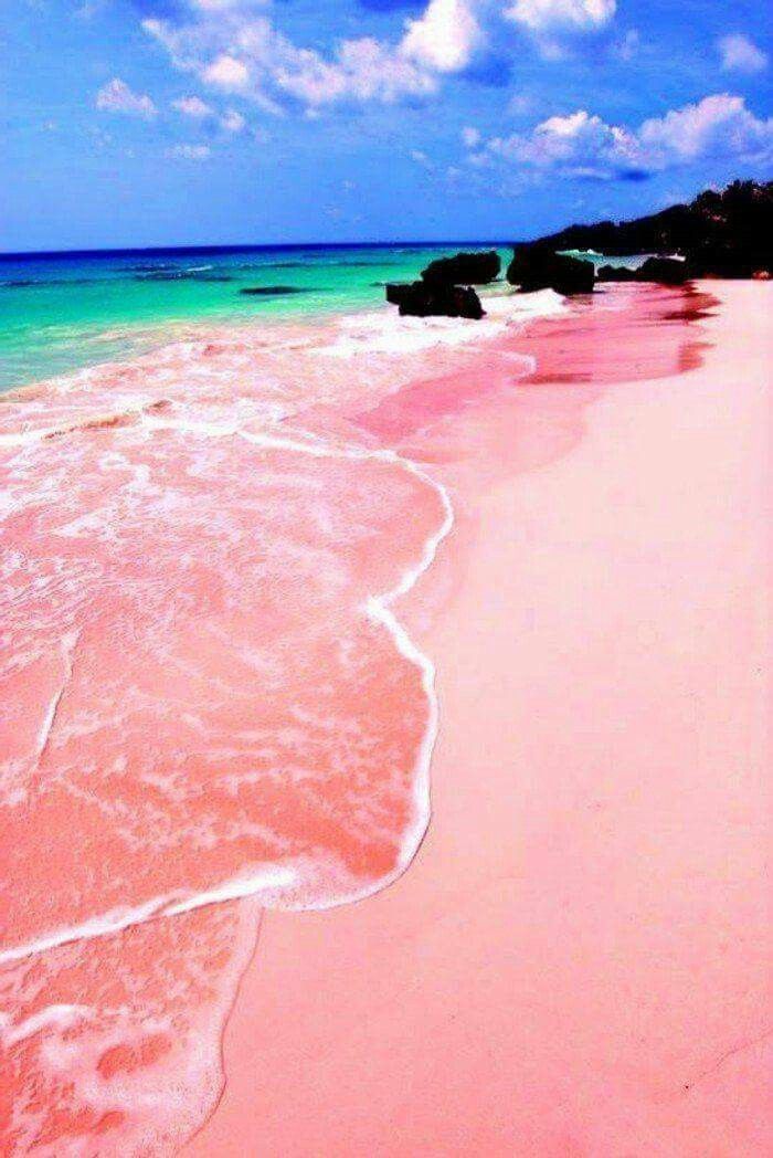 Lugar Pink Sands Beach