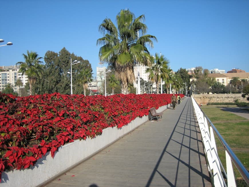 Place Puente de las Flores