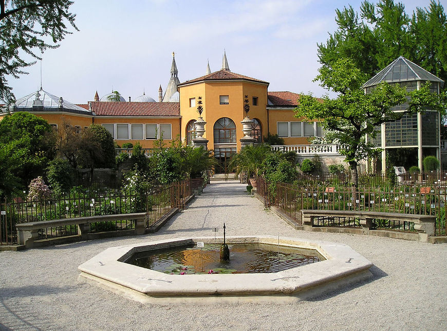 Place Orto botanico di Padova