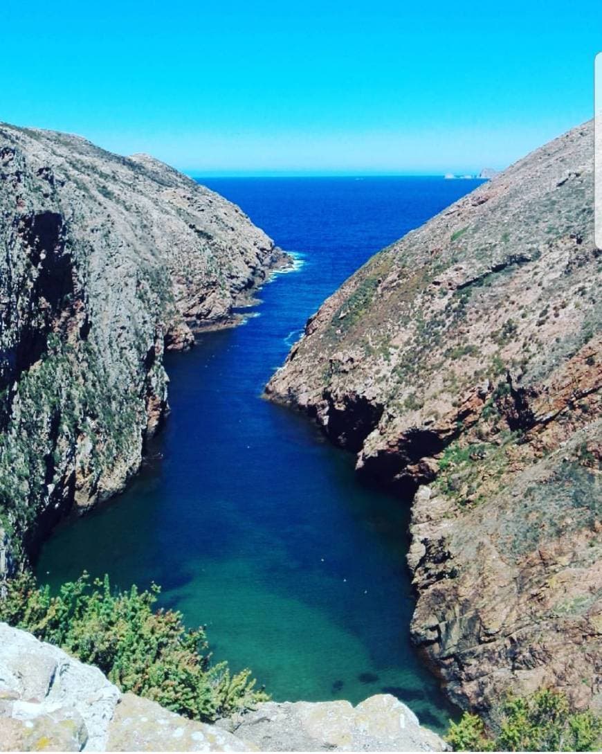 Lugar Berlengas