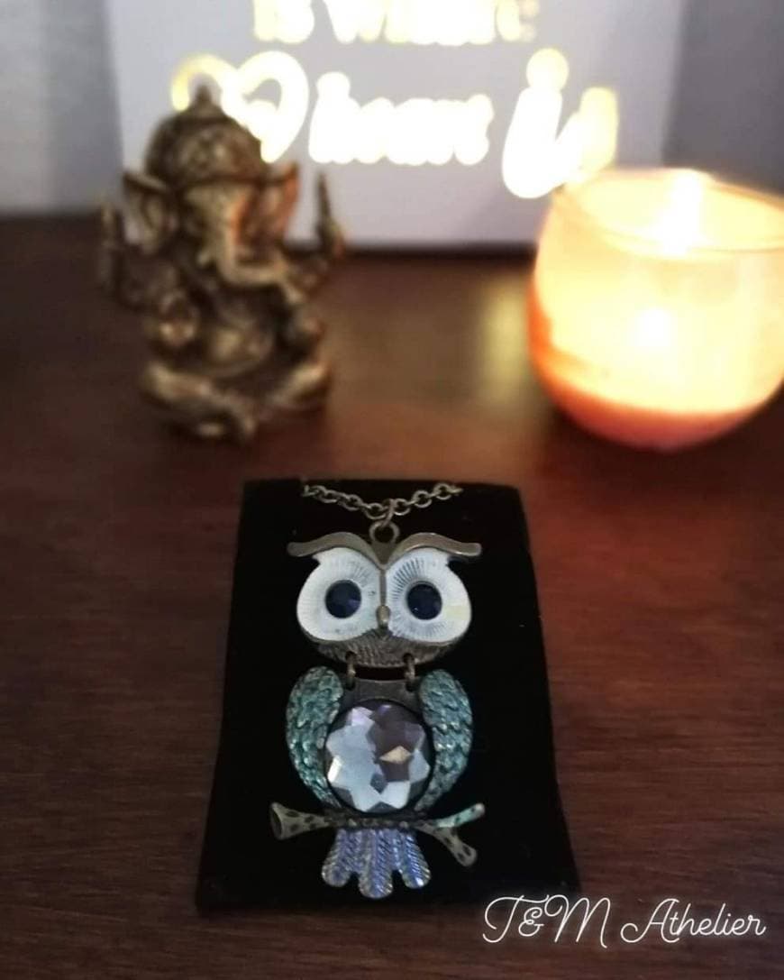 Product Colar cumprido em forma de mocho 🦉 🦉 