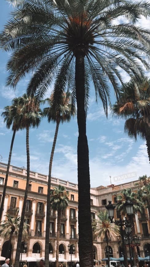 Lugar Plaça Reial