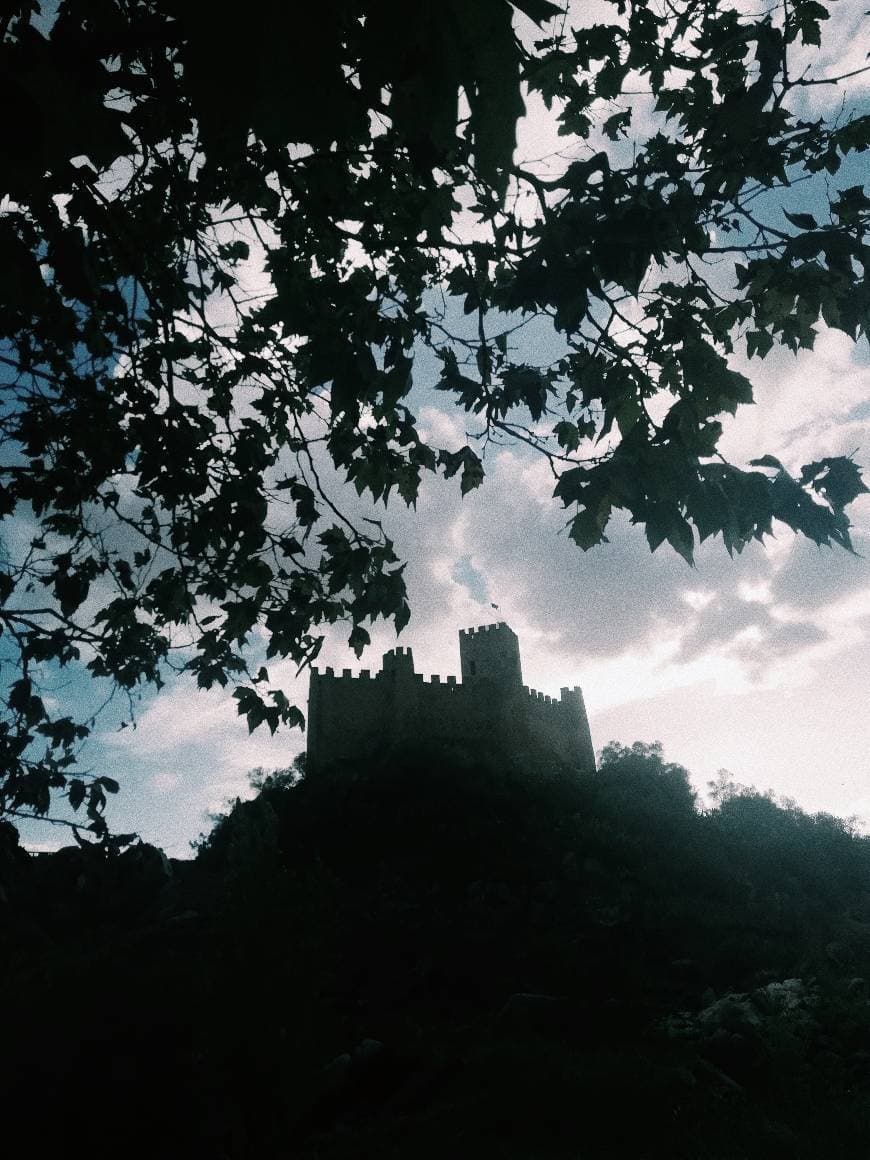 Place Castelo de Almourol