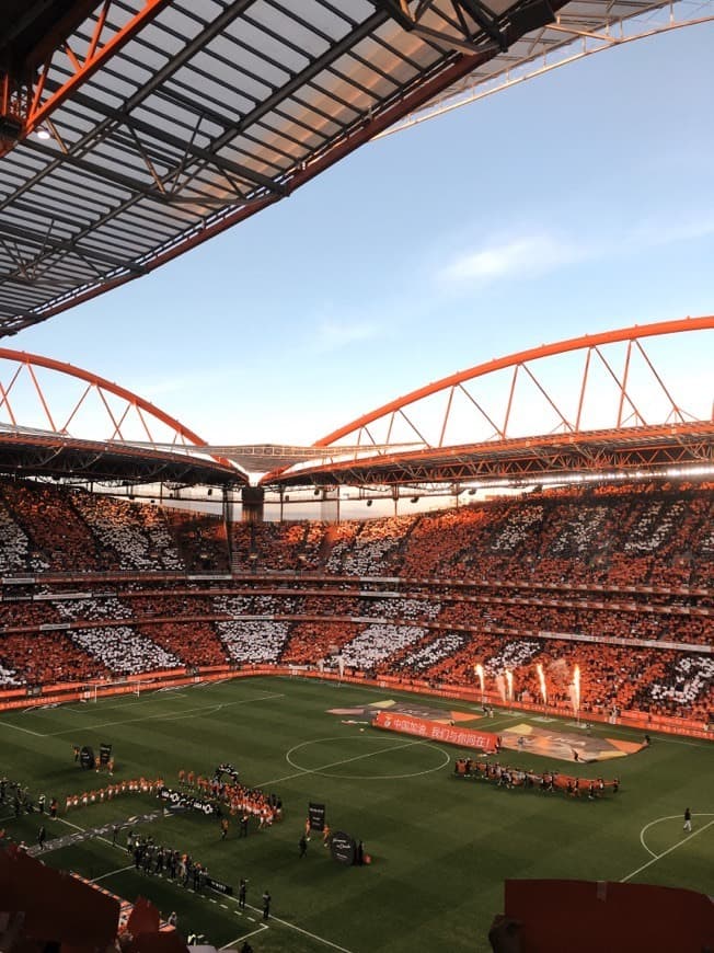 Place Estádio Sport Lisboa e Benfica