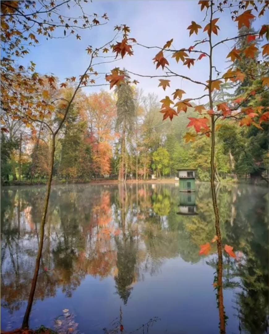 Lugar Vizela Parque Das Termas