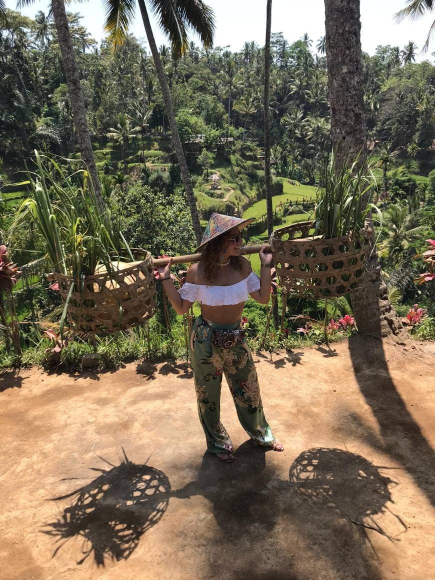 Place Tegallalang Rice Terrace