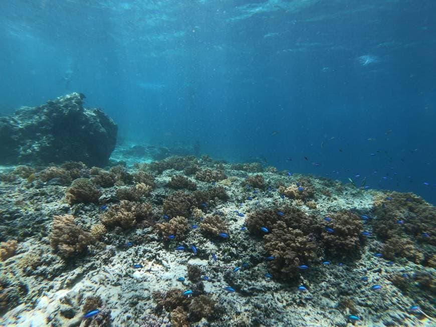 Lugar Gili Islands