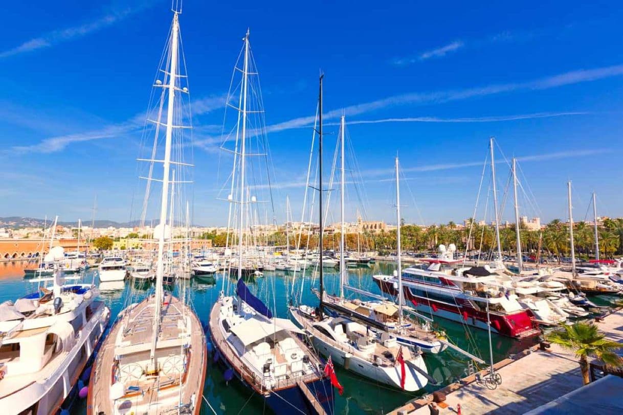 Place Puerto de Palma de Mallorca