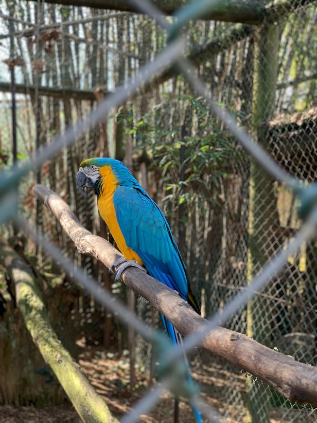 Lugar ZOO Santo Inácio