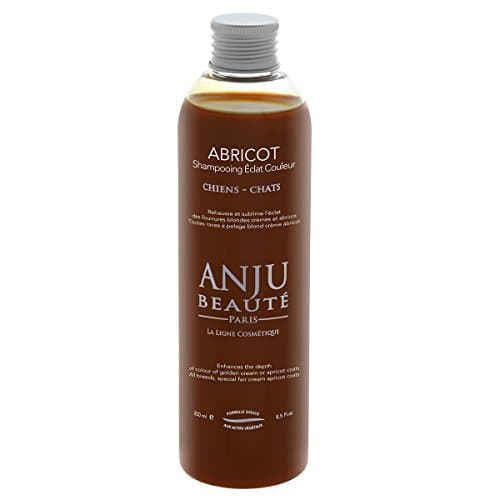 Producto SHAMPOING ECLAT Abricot ANJU 250 ML