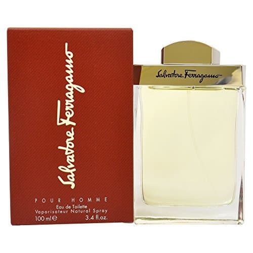 Place Salvatore Ferragamo S.Ferragamo Pour Homme Edt 100 Ml