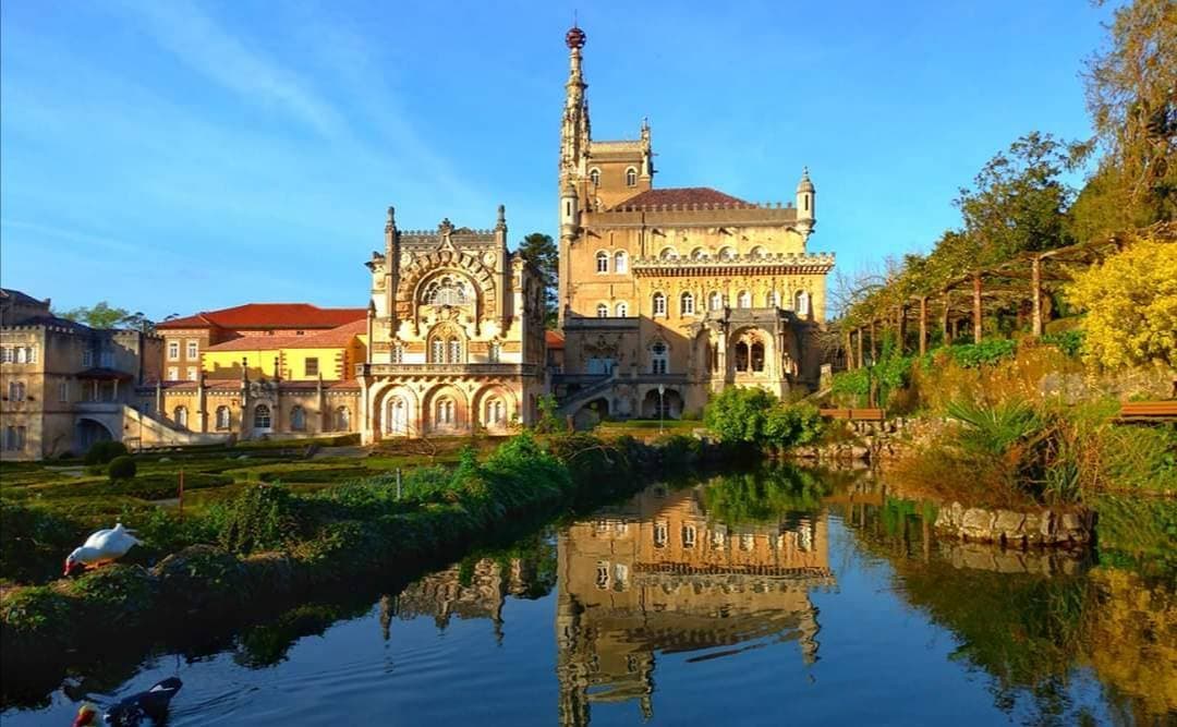 Place Bussaco Palace Hotel