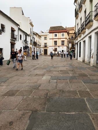 Lugar Plaza del Potro