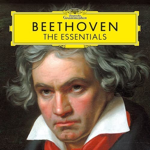 Fashion Beethoven 