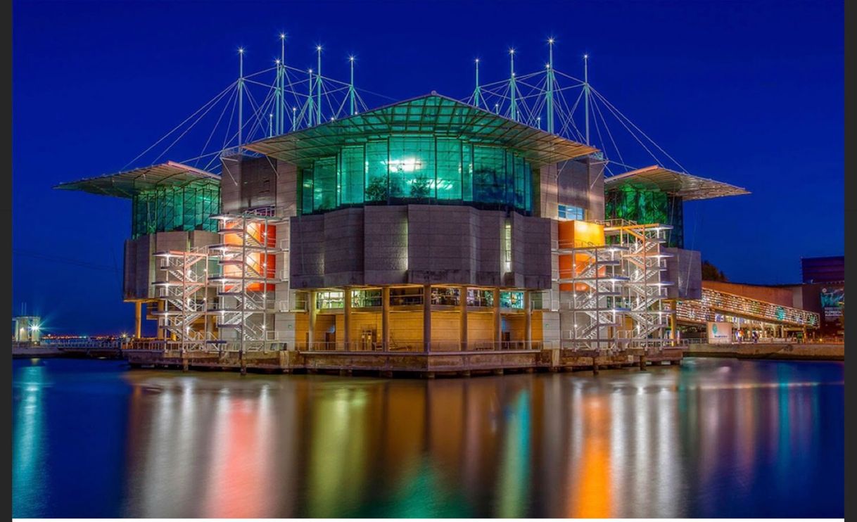 Lugar Oceanario de Lisboa