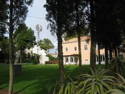 Place Palácio dos Aciprestes