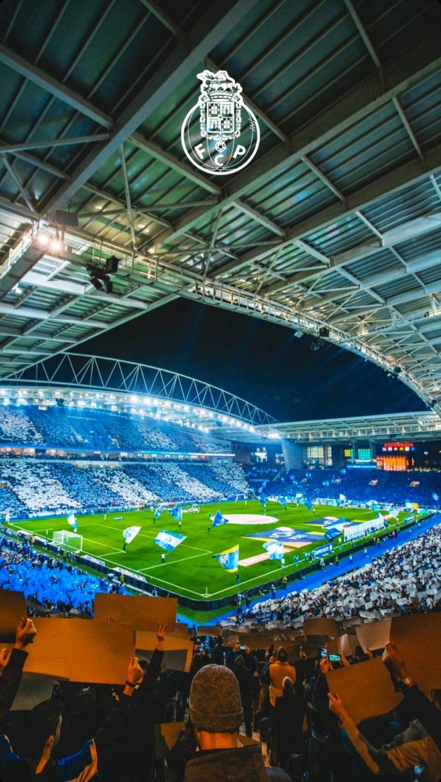 Place Estádio do Dragão