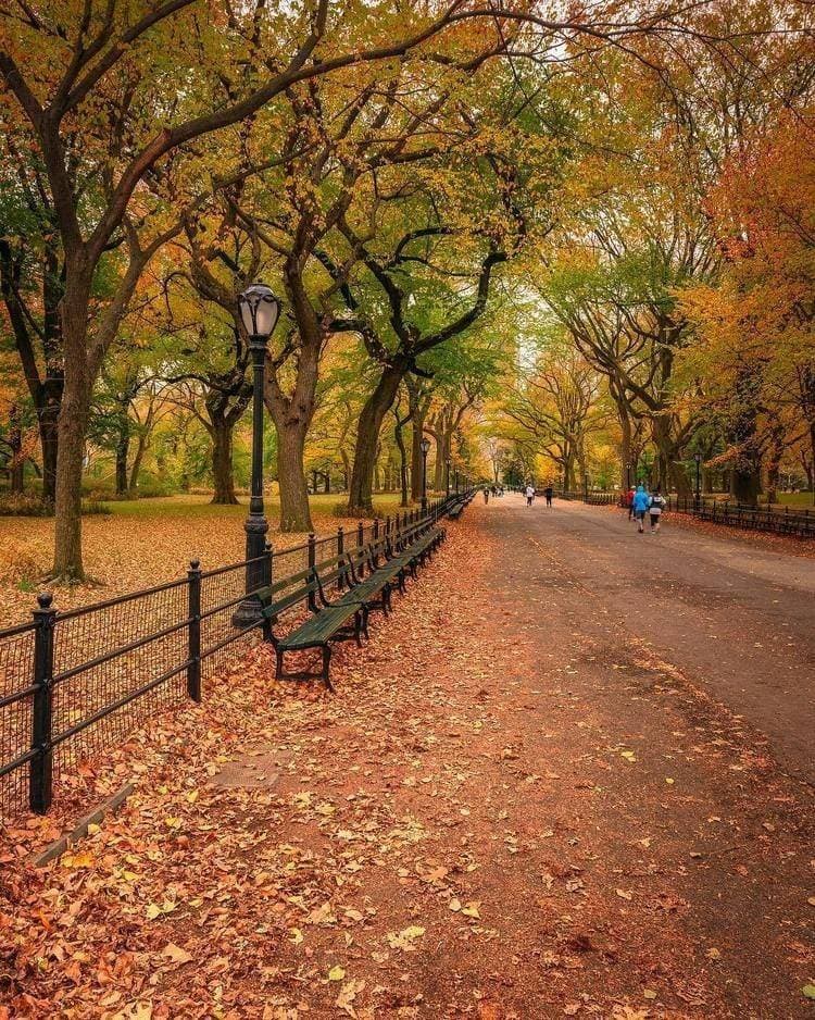 Place Greenwich Park