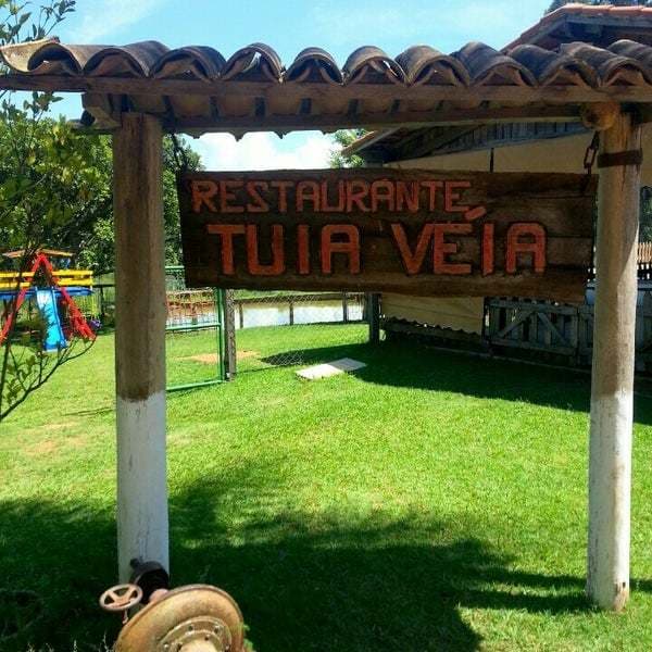 Restaurants Restaurante Tuia Veia