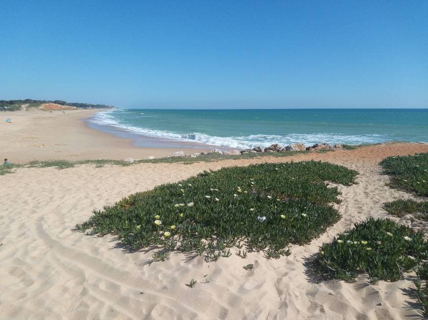 Place Praia de Quarteira