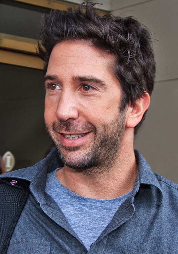 Moda David Schwimmer