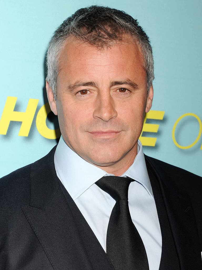 Moda Matt LeBlanc