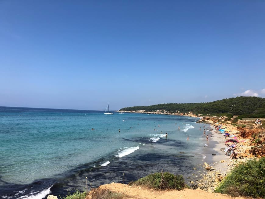 Place Platja de Binigaus