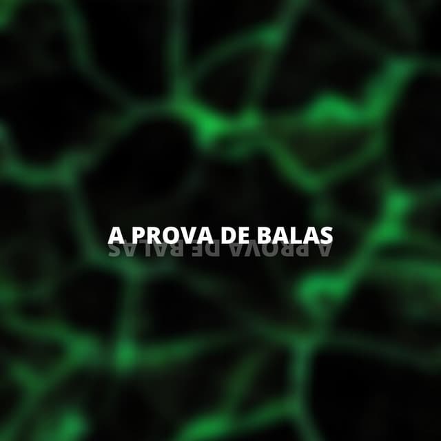 Music A Prova de Balas