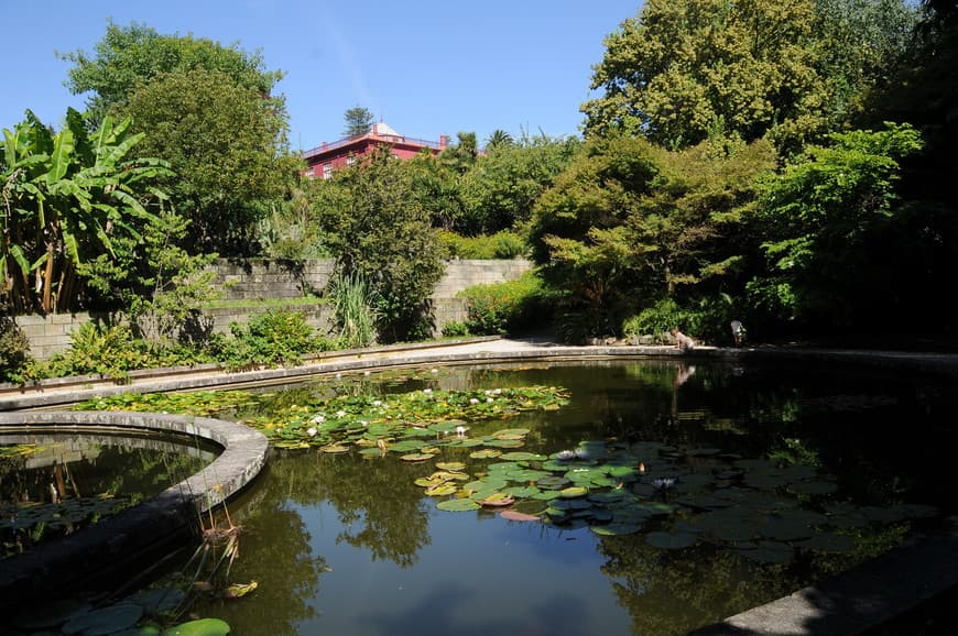 Place Jardín Botánico de la Universidad de Oporto