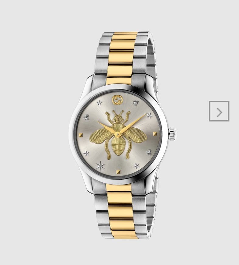 Producto G-Timeless watch