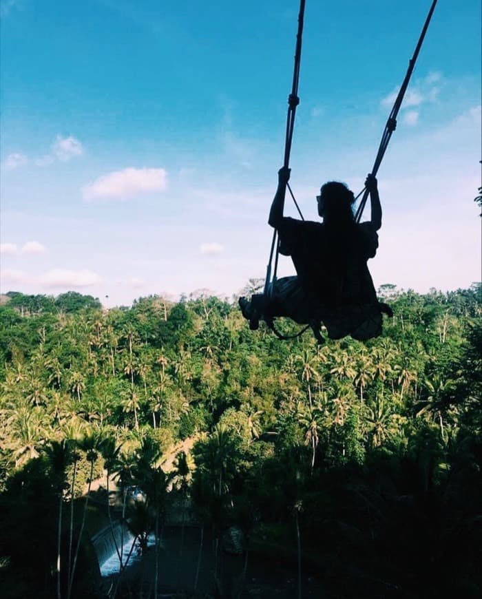 Lugar Bali Swing