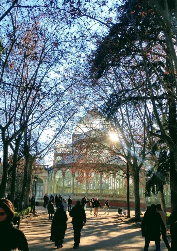 Lugar Parque de El Retiro