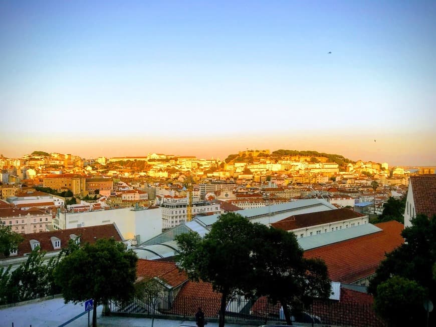 Lugar Jardín de São Pedro de Alcântara