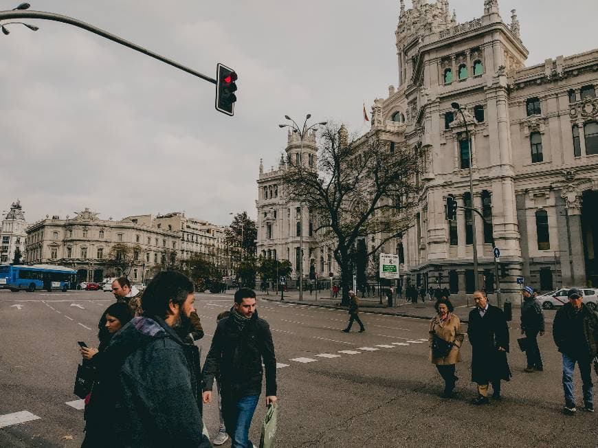 Place Plaza Cibeles