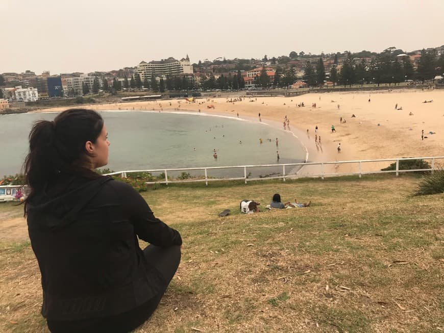 Moda Coogee Beach - Coogee | Sydney.com